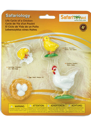 Safari Ltd Levenscyclus van een kip