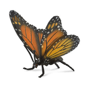 Collecta monarchvlinder