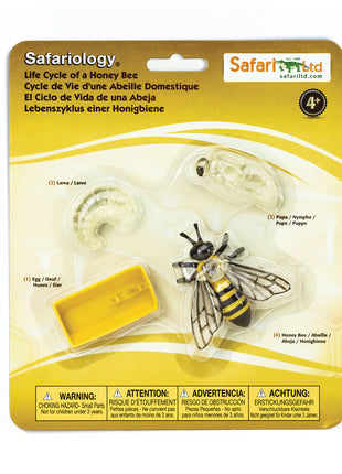 Safari Ltd Levenscyclus van een honingbij