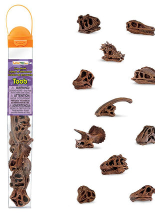 Safari Ltd Toob dinosaurus schedels
