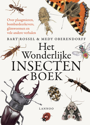 Het wonderlijke insectenboek - Bart Rossel