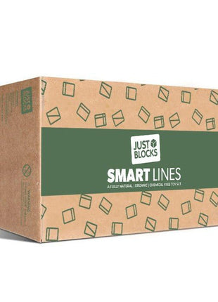 Just Blocks Smart Lines medium pack 166 houten blokken